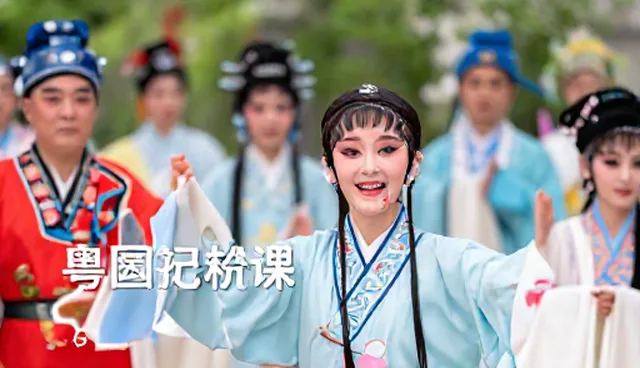 在线观演的使用与维护建议